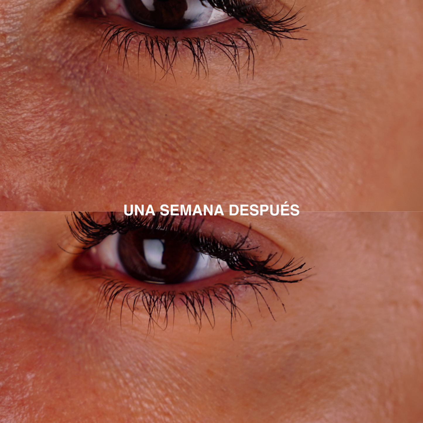 CONTORNO DE OJOS HIDRATANTE