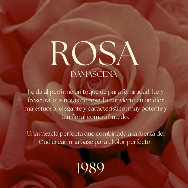 1989 PARFUM