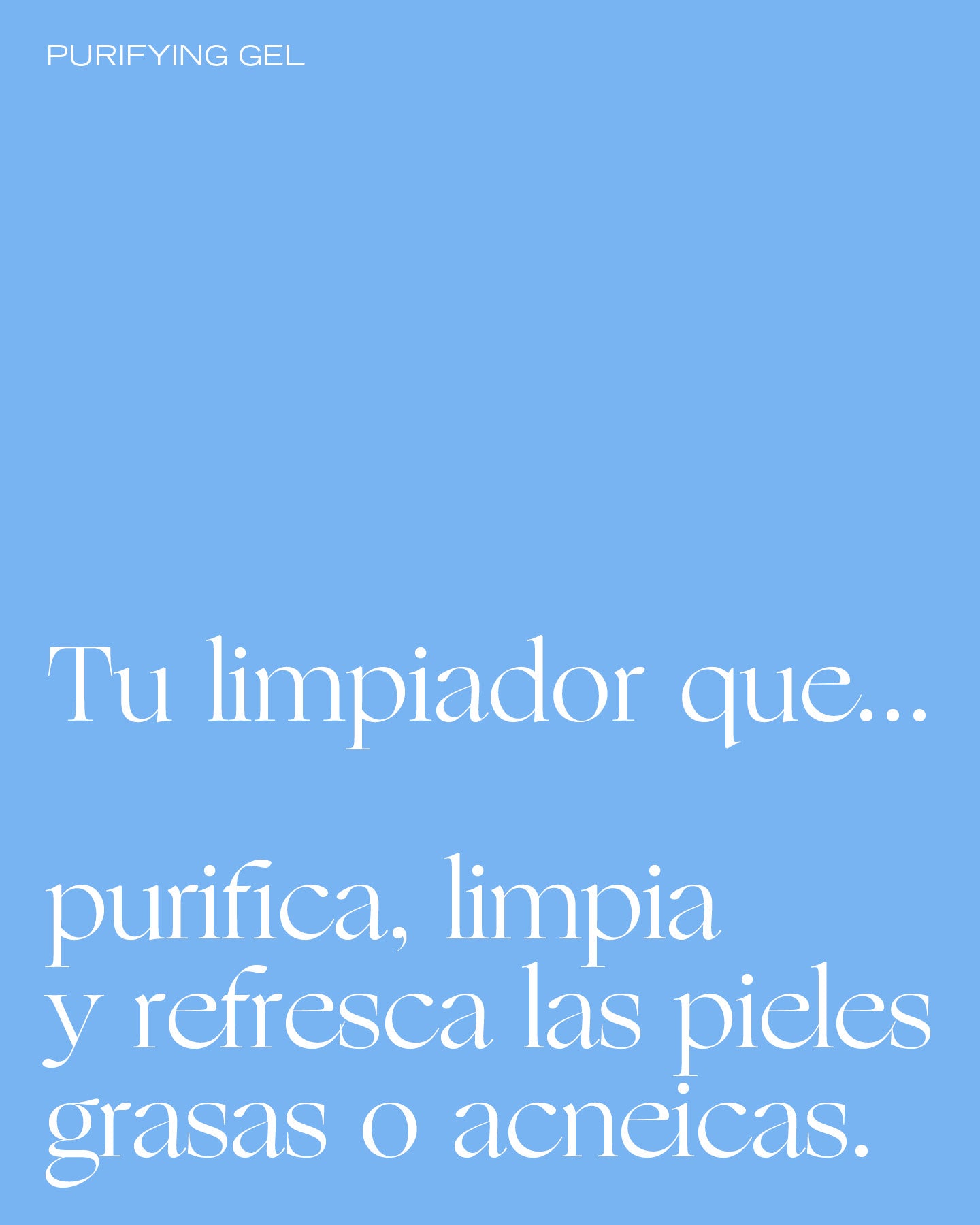 GEL LIMPIADOR PURIFICANTE